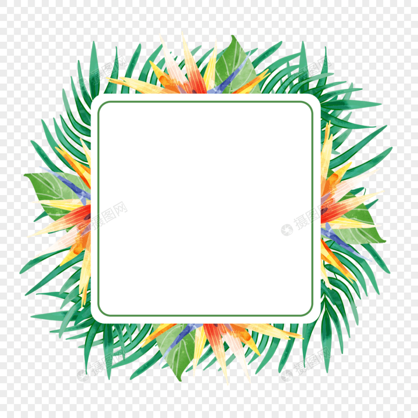 水彩热带树叶鹤望兰花卉绿色正方形边框图片