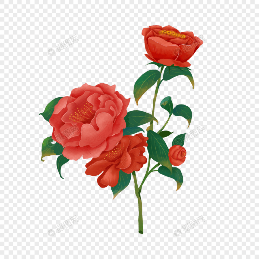 红色山茶花水彩质感花朵图片