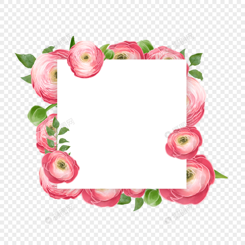 水彩婚礼花卉花毛茛方形边框图片