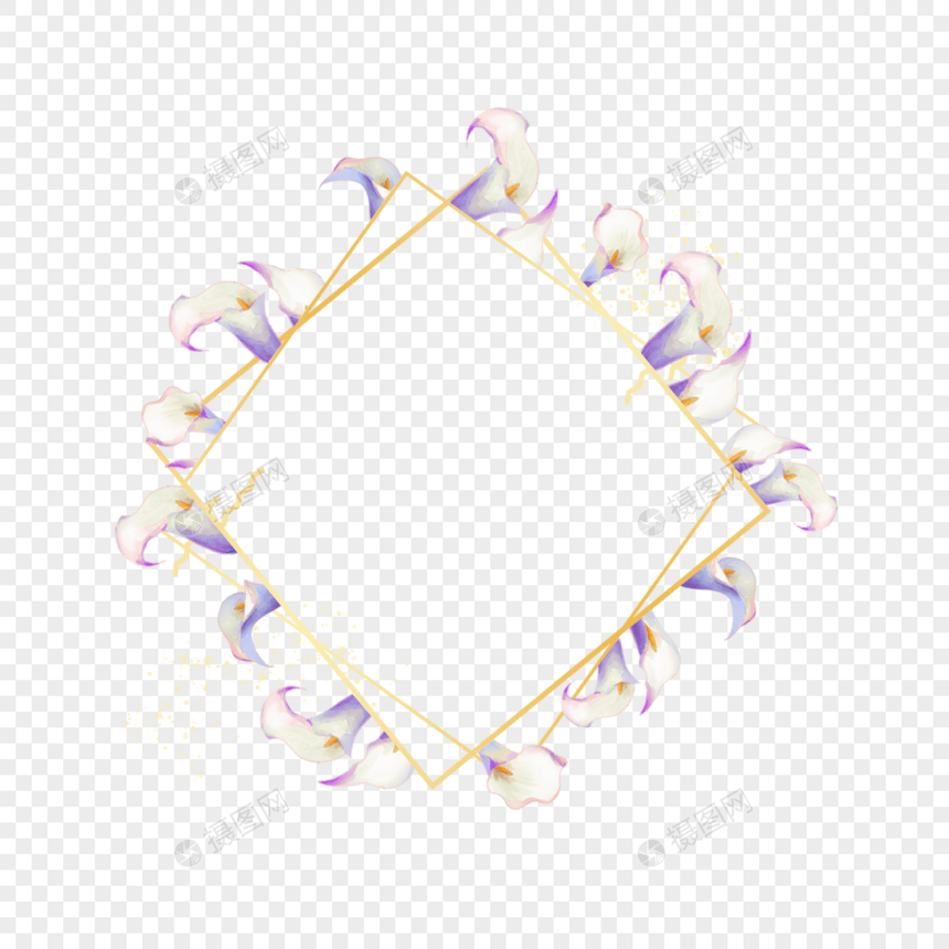 婚礼马蹄莲边框花卉水彩图片