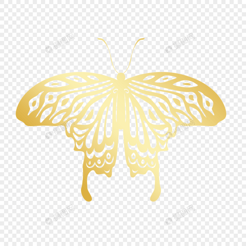 金色亮光线稿蝴蝶图片