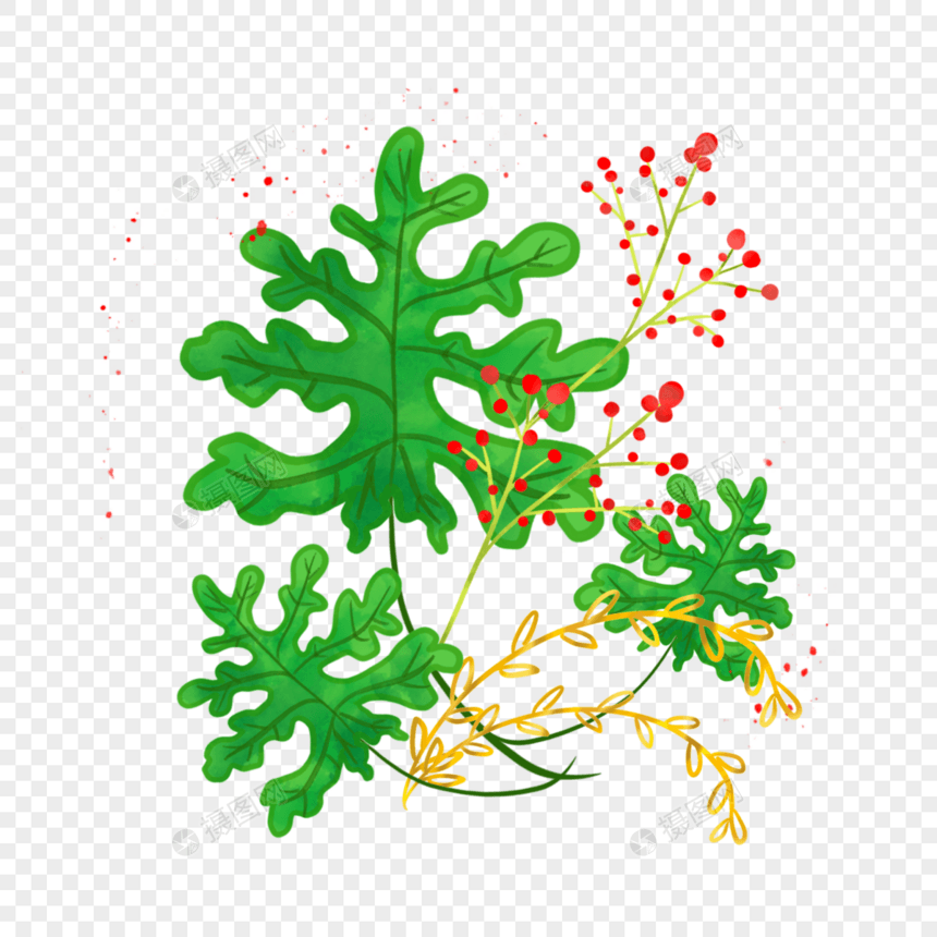 水彩晕染金箔榛树叶花卉植物图片