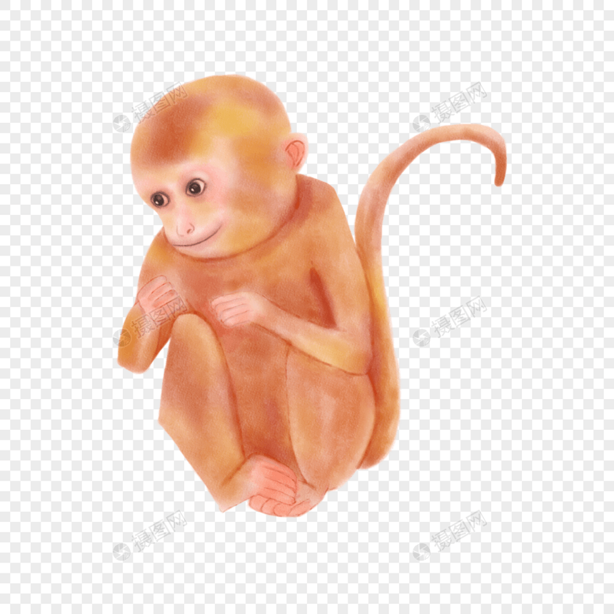 猴子水彩晕染动物图片