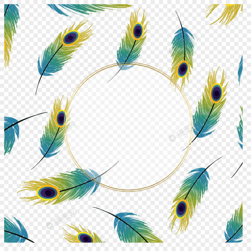 蓝黄色孔雀羽毛装饰图片