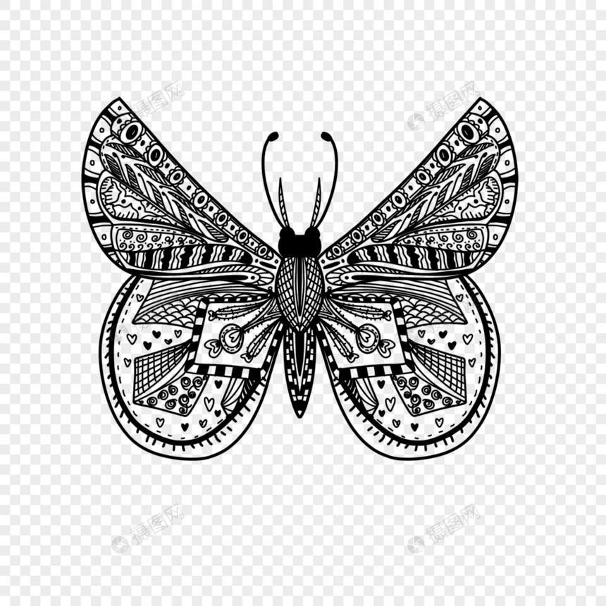 线条画几何风的蝴蝶填色本图片