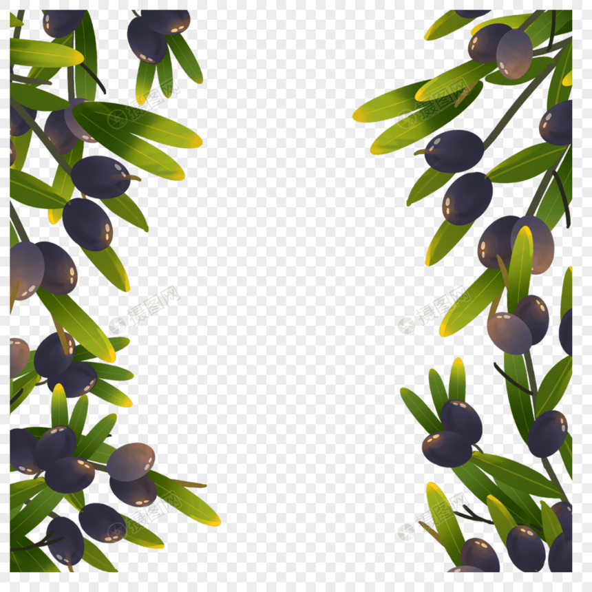 紫色橄榄创意边框图片