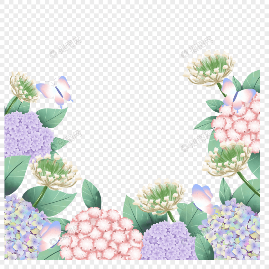 绣球花卉水彩植物蝴蝶边框图片