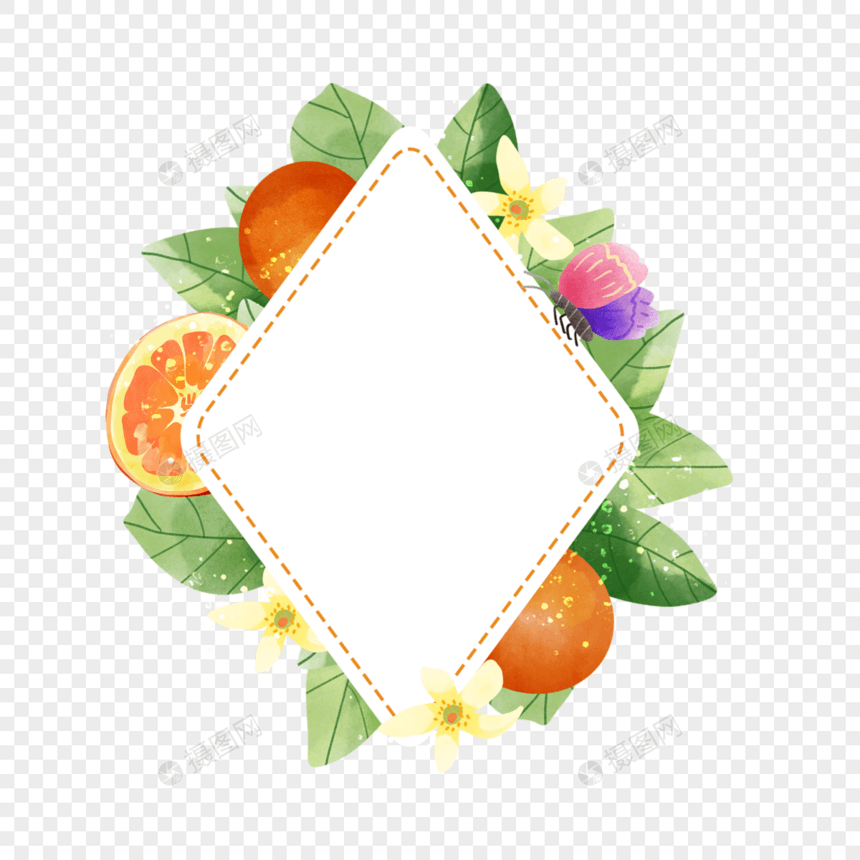 橙子水果水彩蝴蝶花卉边框图片