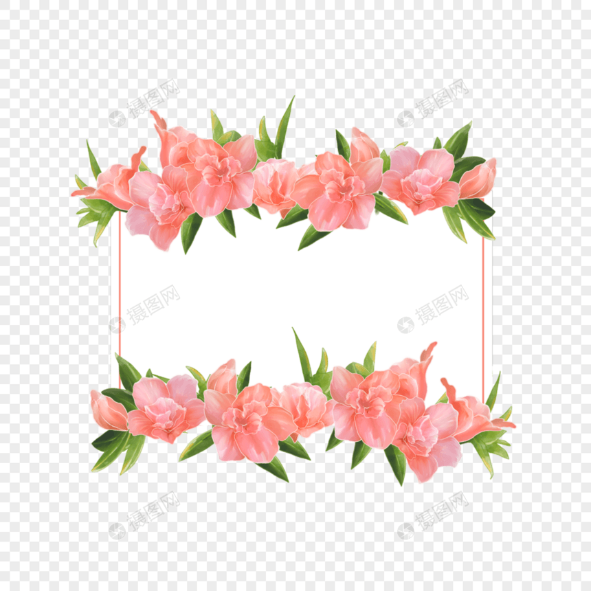 水彩粉色杜鹃花卉方形边框图片