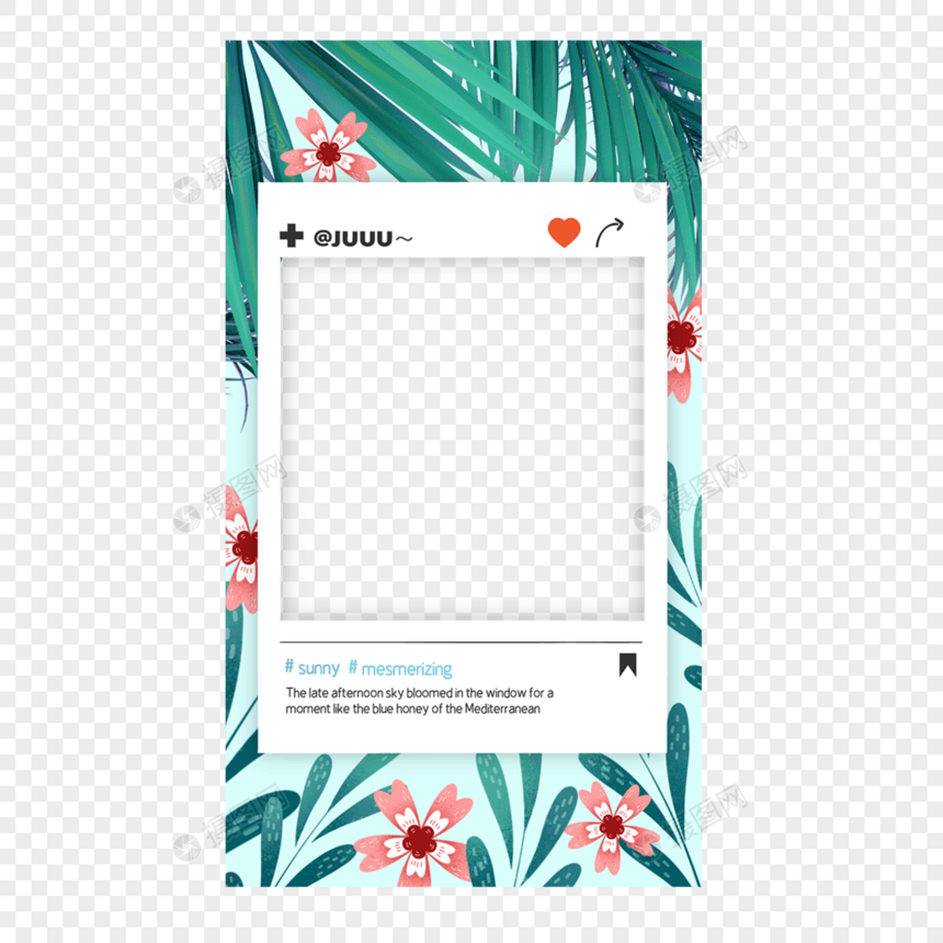 热带树叶宝丽来故事边框装饰花卉图片