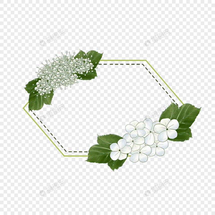 创意水彩荚蒾花卉边框图片