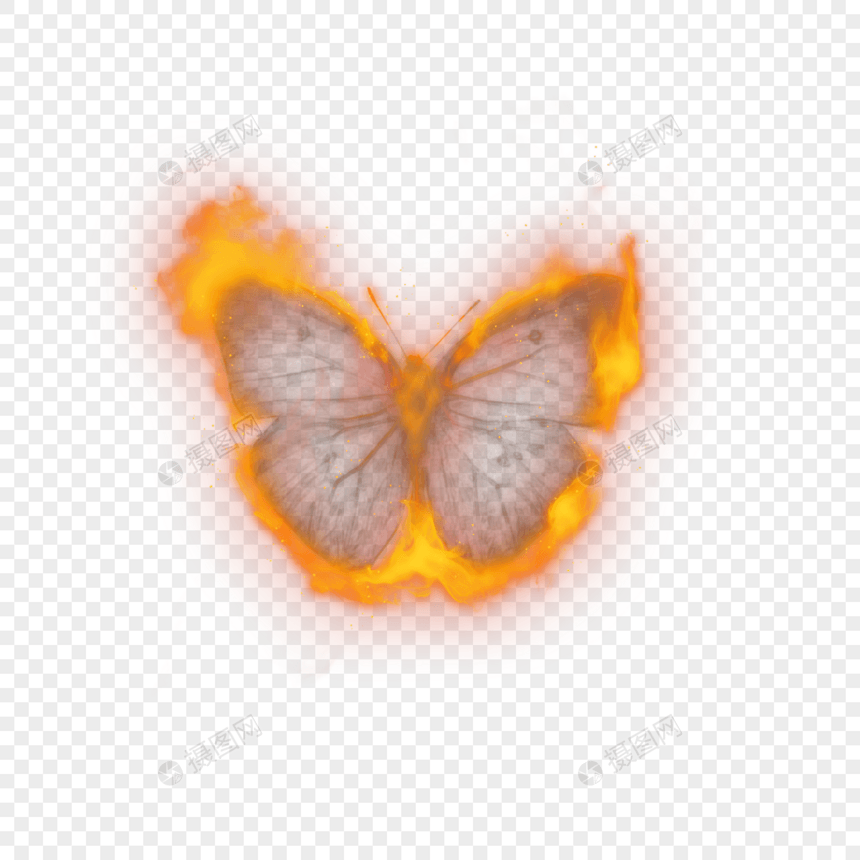 写实飞翔燃烧火焰蝴蝶图片