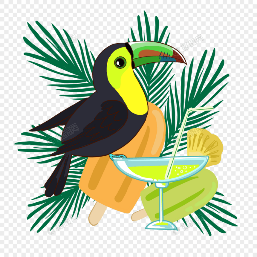 夏季卡通可爱热带植物饮料巨嘴鸟图片