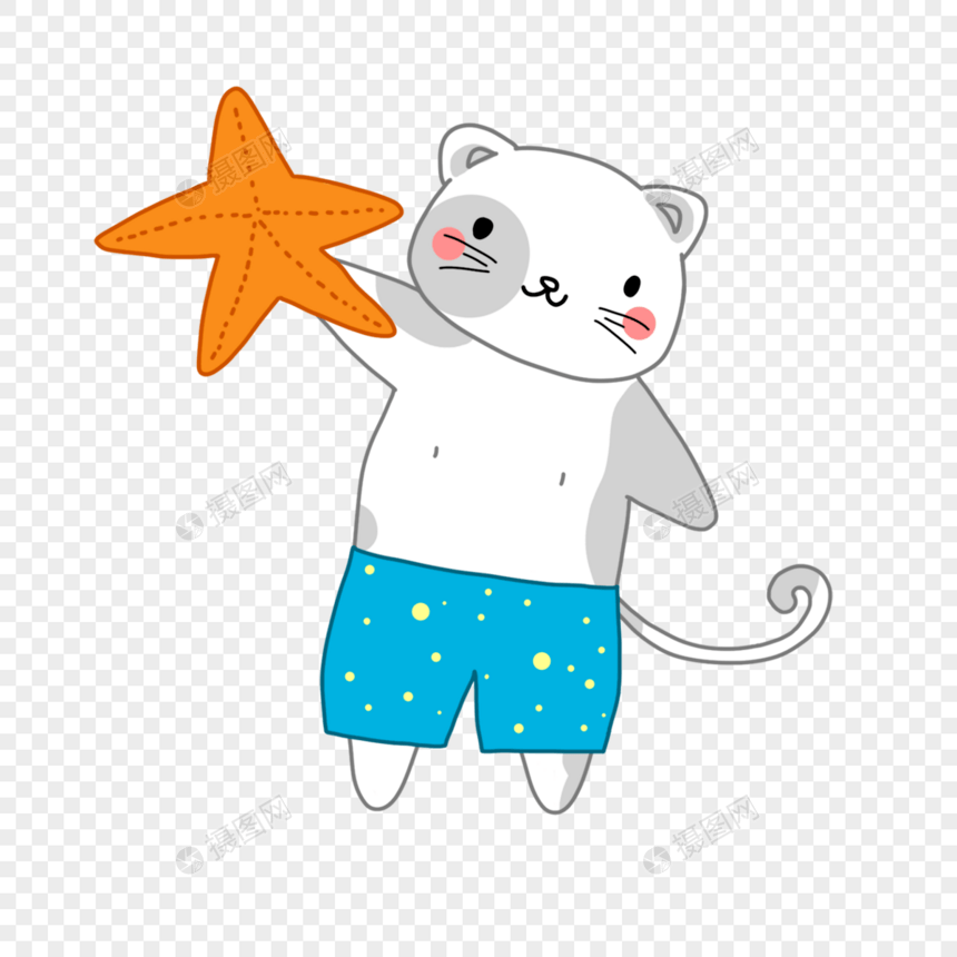 夏季猫咪卡通海星图片