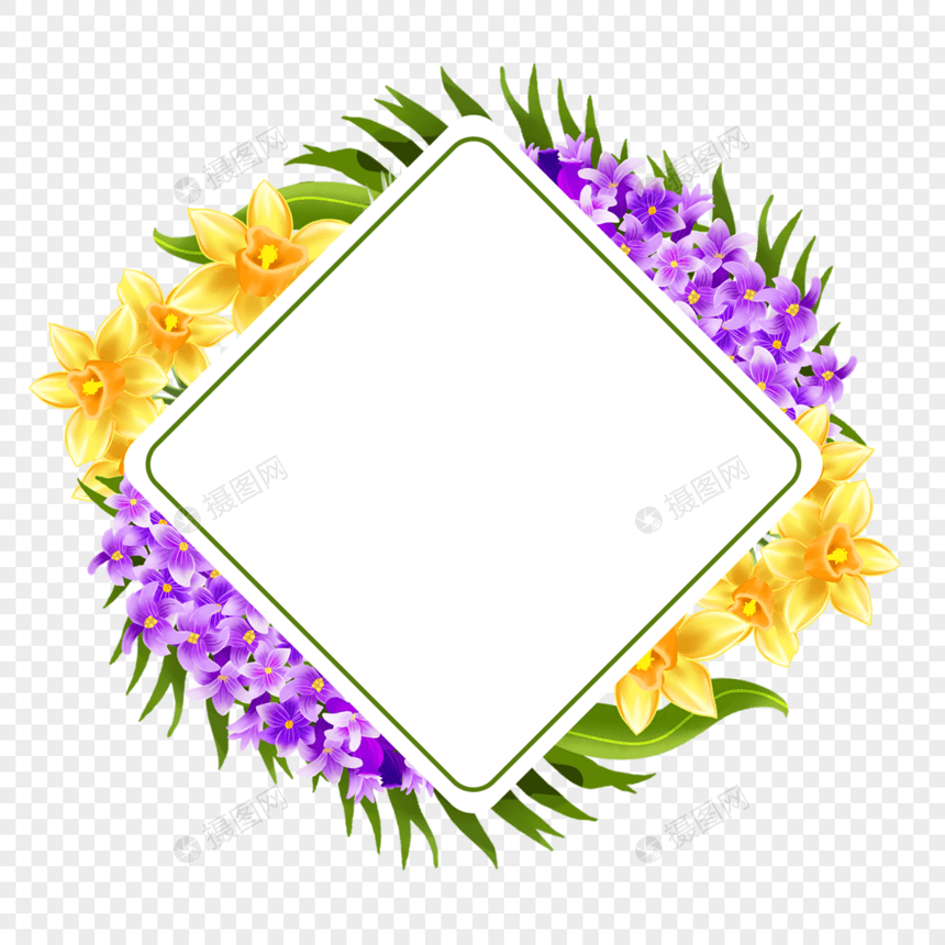 水彩紫色风信子水仙花卉边框图片