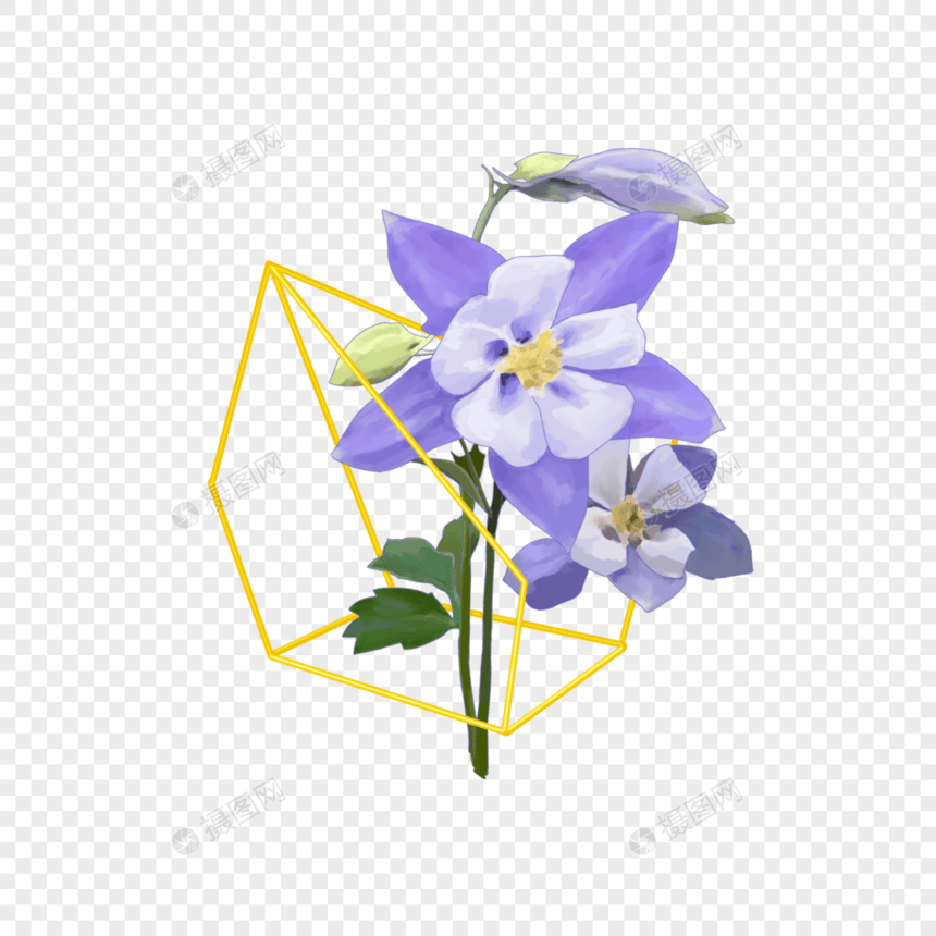 几何金框婚礼花卉紫色图片
