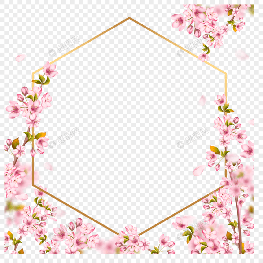 春天粉色樱花枝条叶子线条边框图片