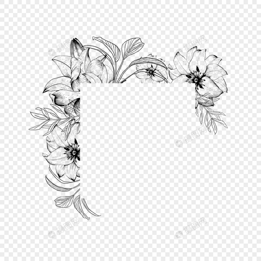 线稿花朵叶片植物边框图片
