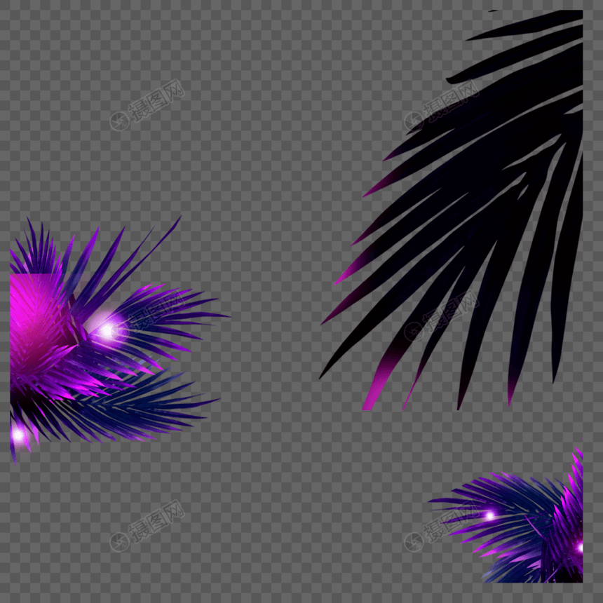 棕榈叶霓虹紫色边框图片