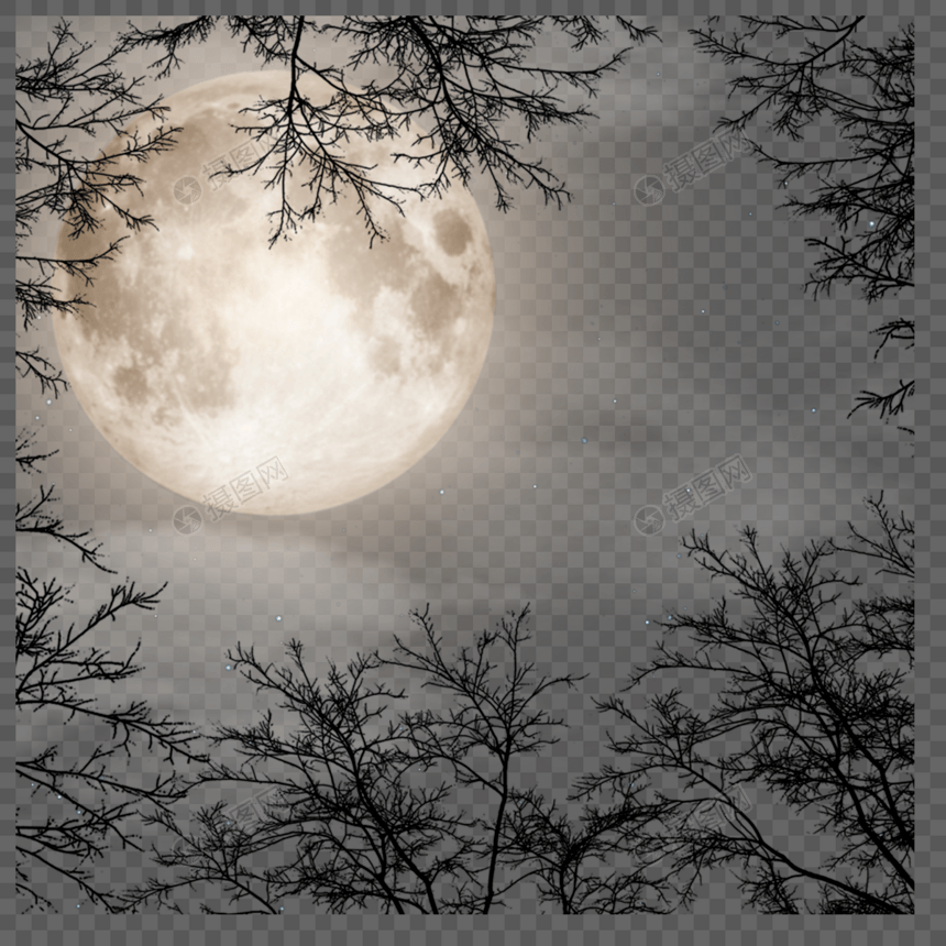 树枝环绕着的月亮图片