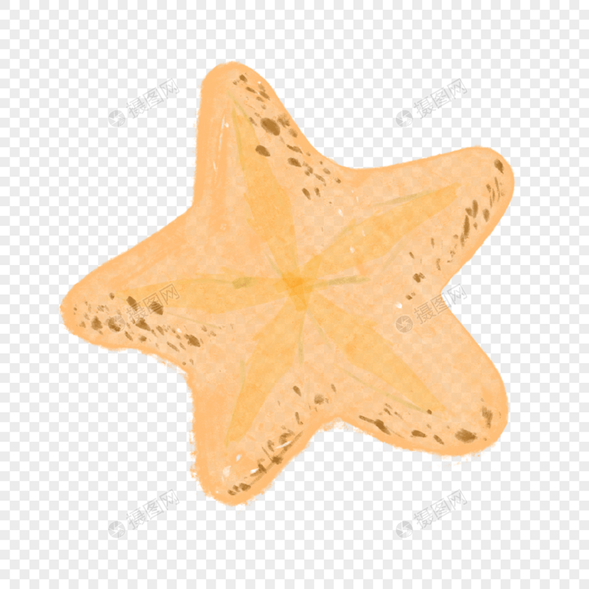 海星星星海洋生物图片绘画图片