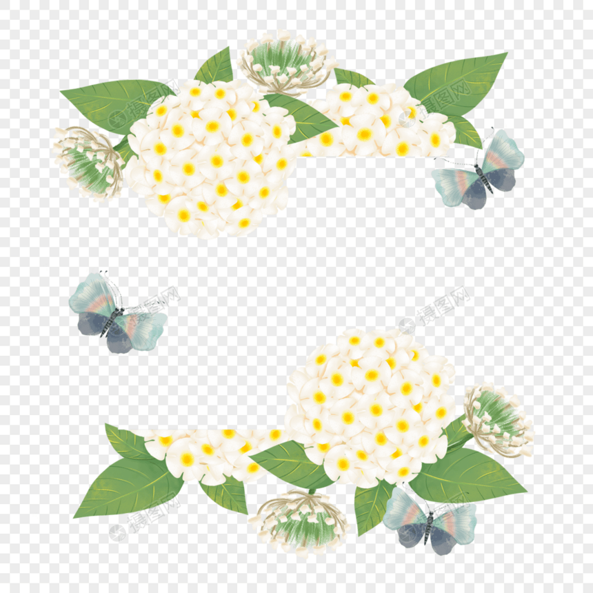 绣球花卉水彩蝴蝶淡雅边框图片