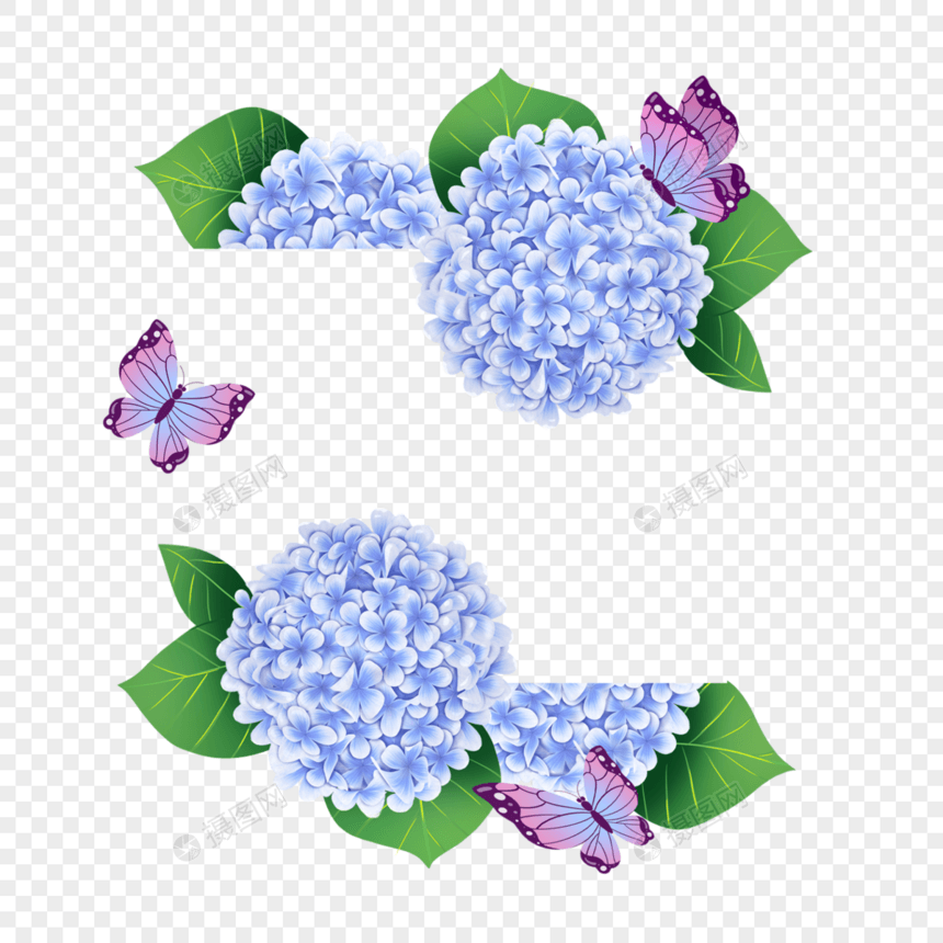 绣球花卉水彩蝴蝶蓝色边框图片
