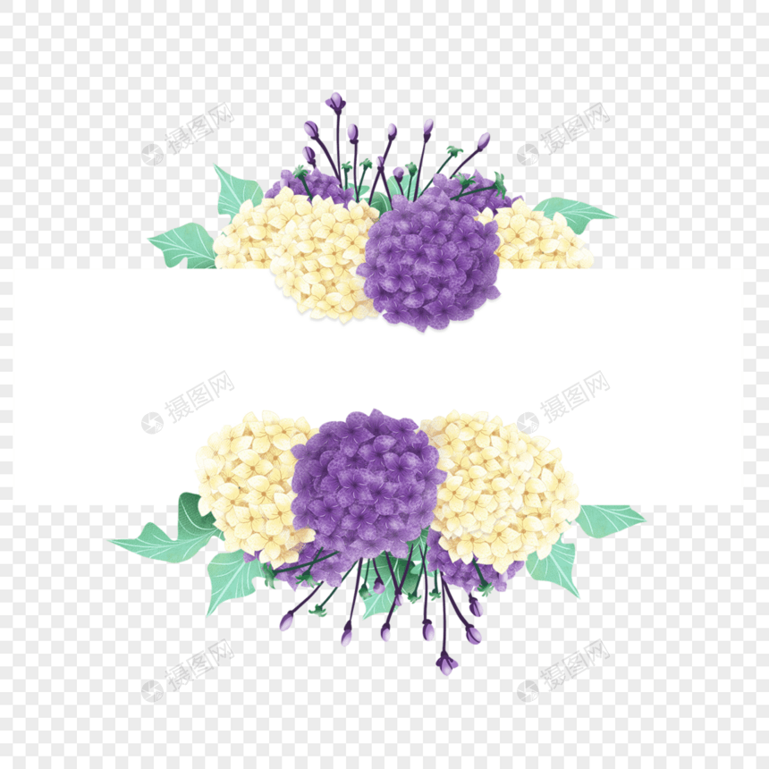 绣球花卉水彩装饰边框图片