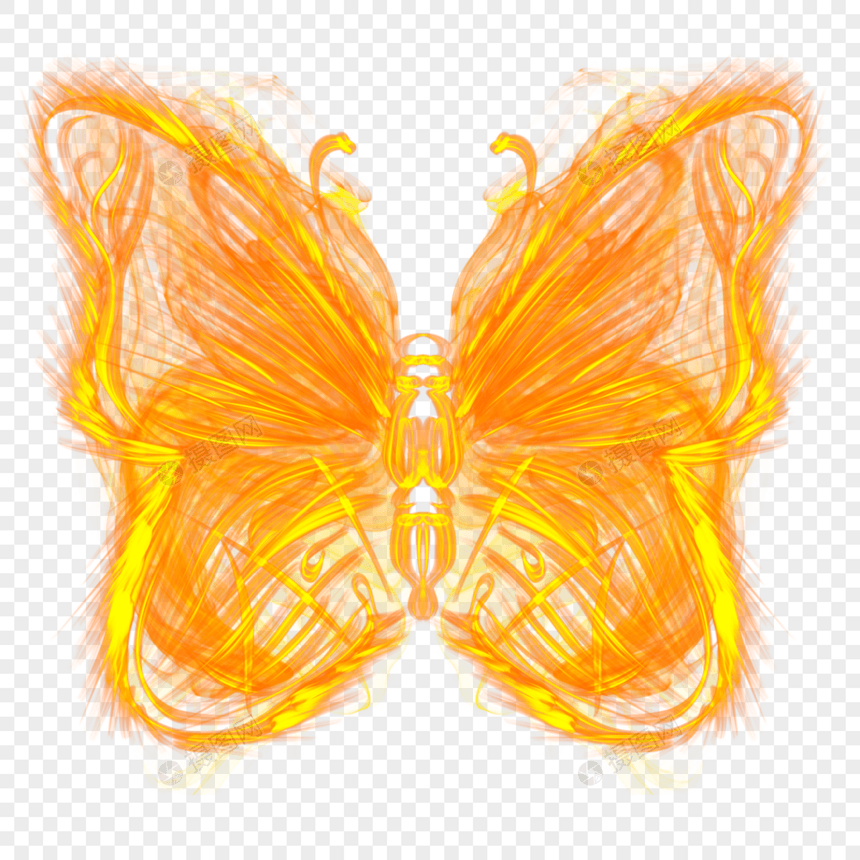 橙色火焰蝴蝶图片