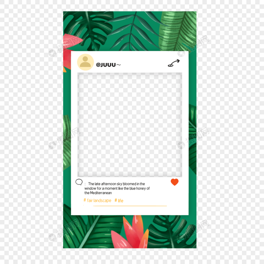 热带树叶宝丽来故事边框照片图片