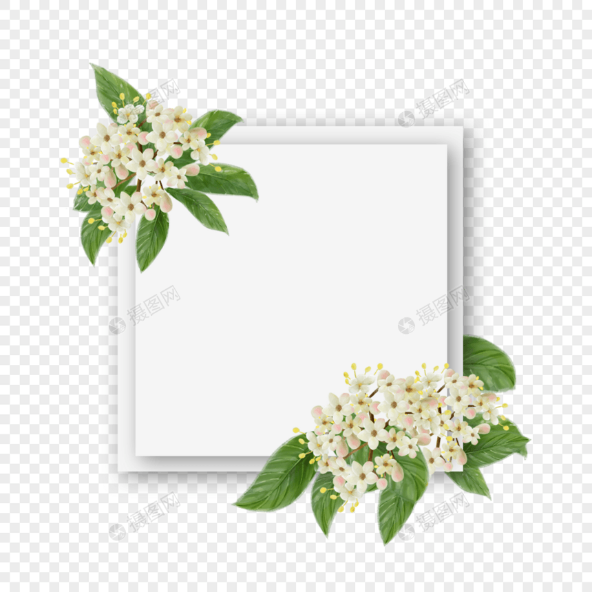 立体水彩荚蒾花卉边框图片