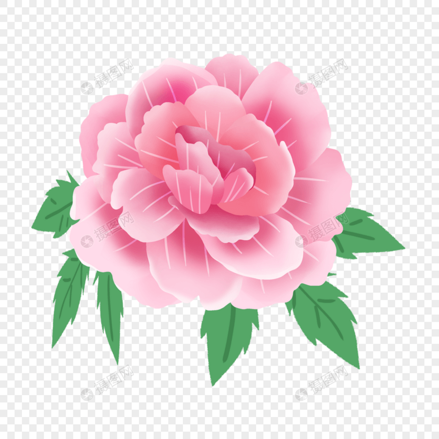 可爱粉色花瓣水彩图案图片