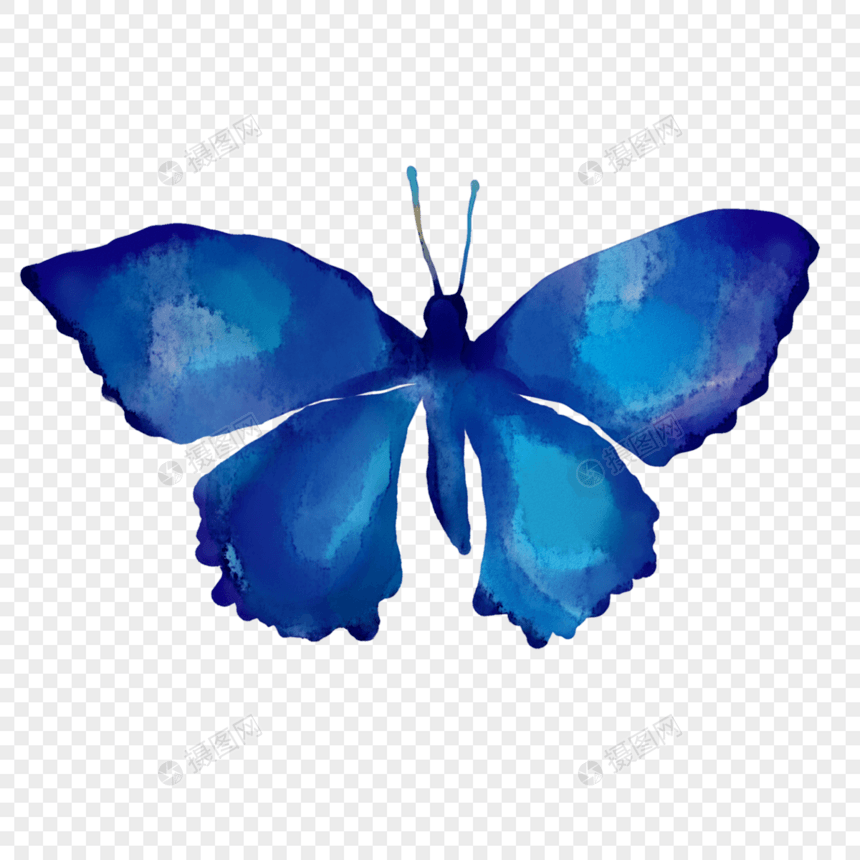蓝色水彩晕染蝴蝶图片