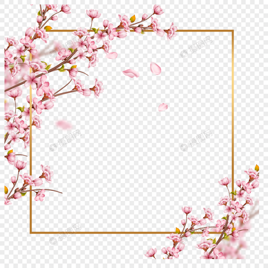 春天粉色樱花枝条方形边框图片