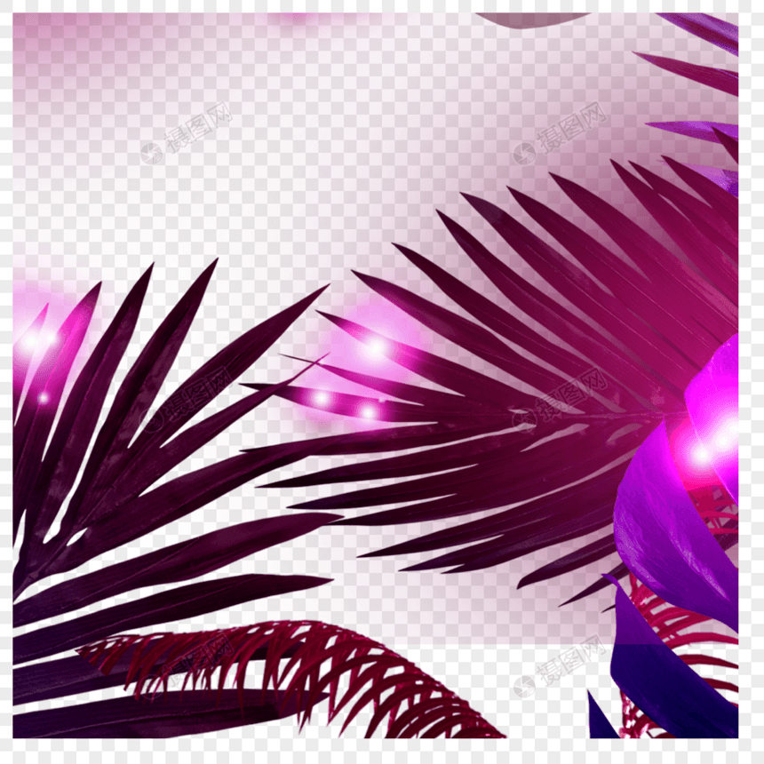 紫色霓虹棕榈叶边框图片