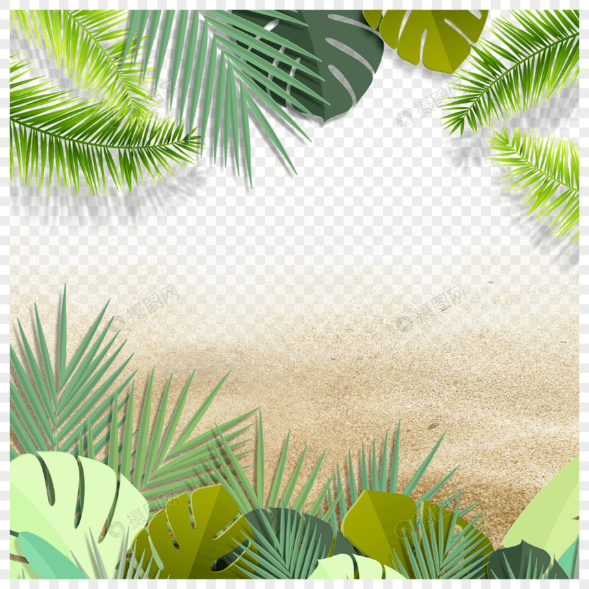夏季沙滩植物绿叶绿植图片