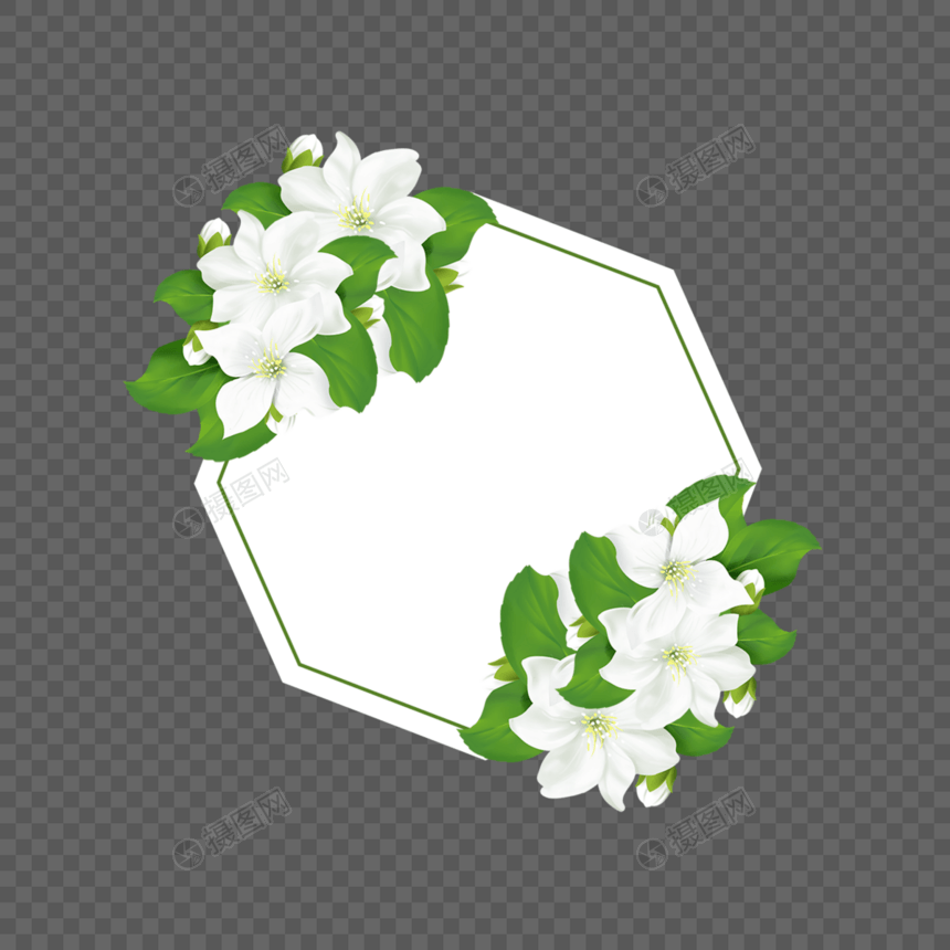 多边形茉莉花卉边框图片