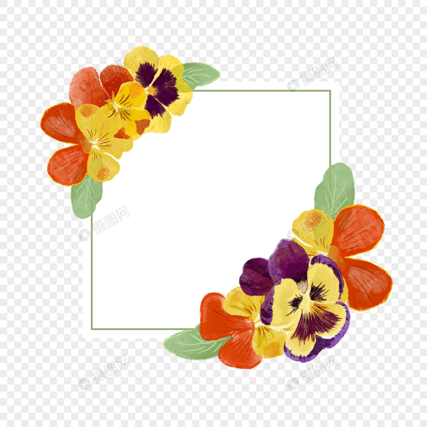三色堇花卉水彩方形边框图片