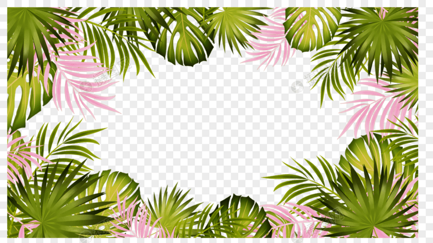 棕榈叶卡通风格叶片装饰边框图片
