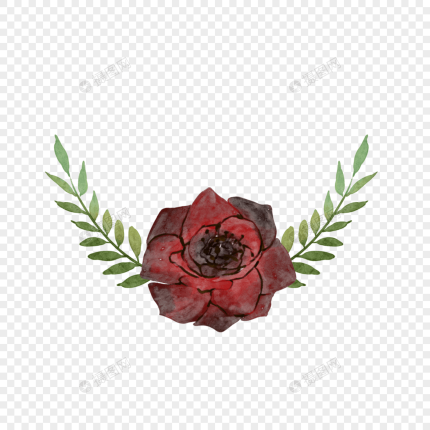 玫瑰水彩勃艮第婚礼边框花卉图片