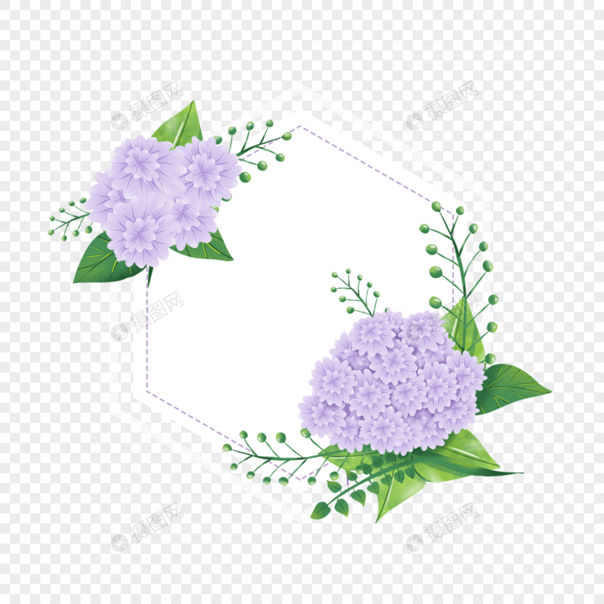 绣球花卉水彩六边形边框图片