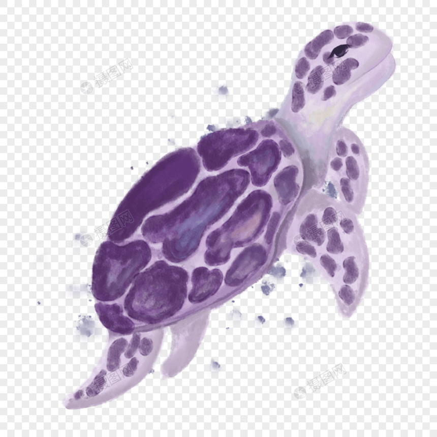海龟水彩风格海报图片