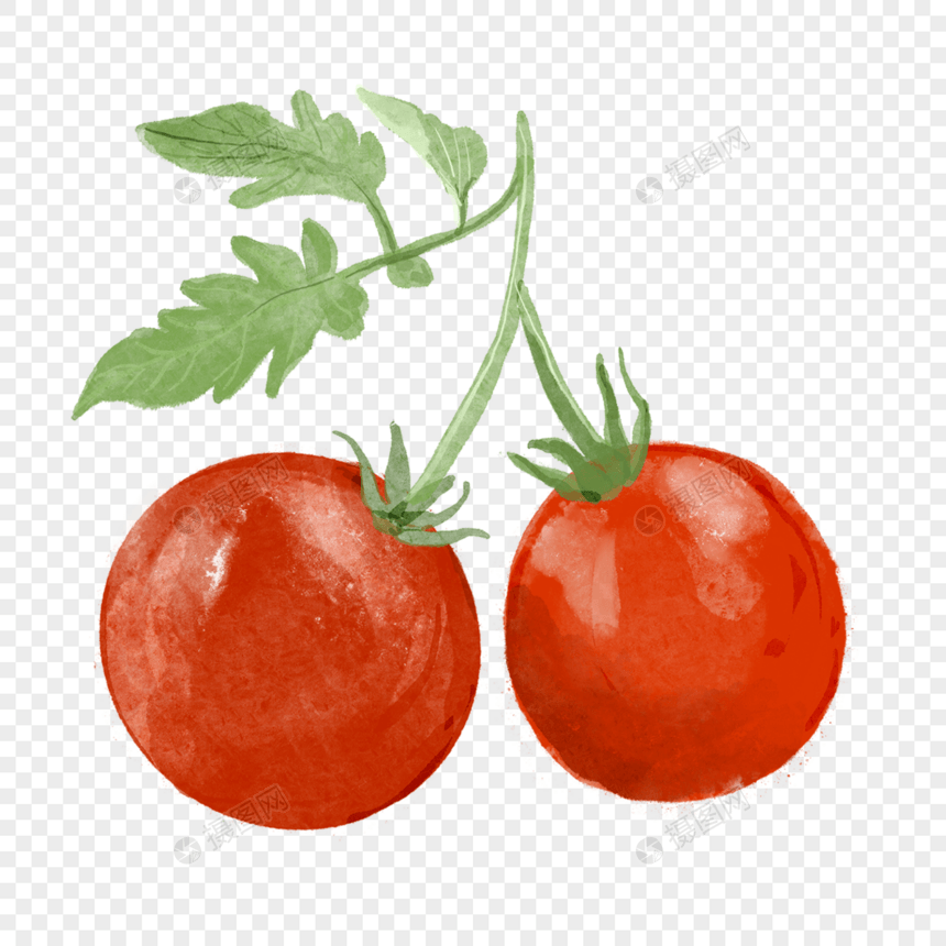 西红柿两个带叶子水彩蔬菜水果图片
