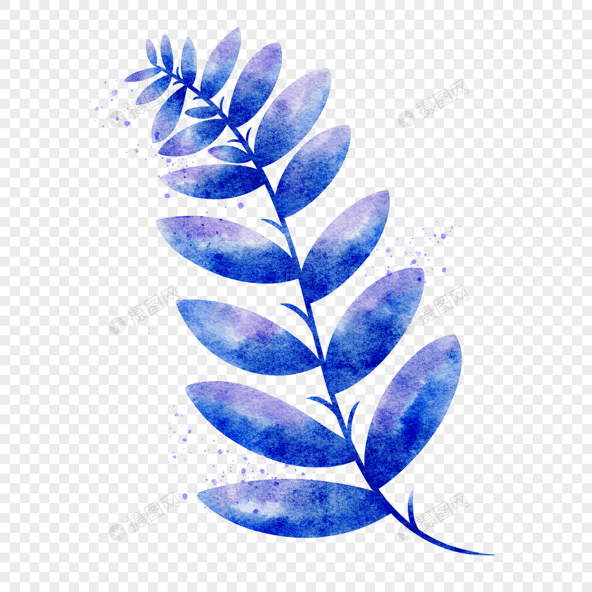 复古蓝色水彩植物图片