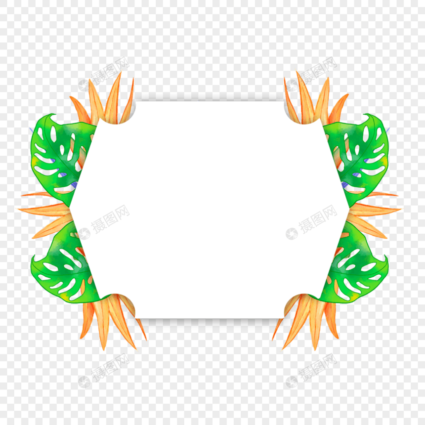 水彩热带树叶鹤望兰边框自然图片