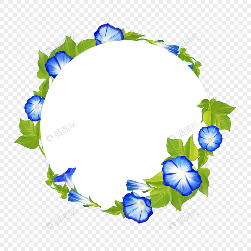 水彩牵牛花卉白色圆形边框图片