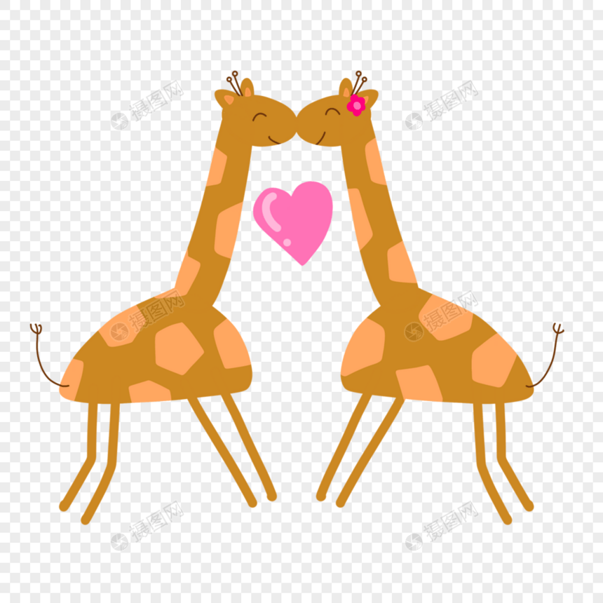 长颈鹿情侣爱情动物图片