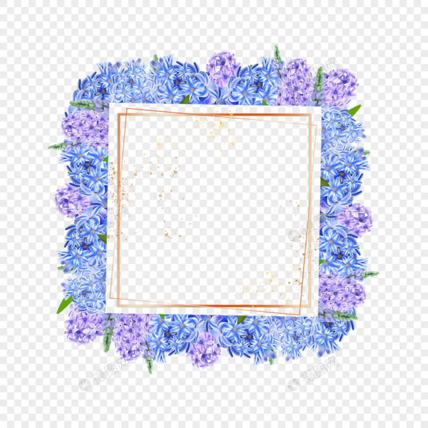 水彩风信子花卉金线正方形边框图片
