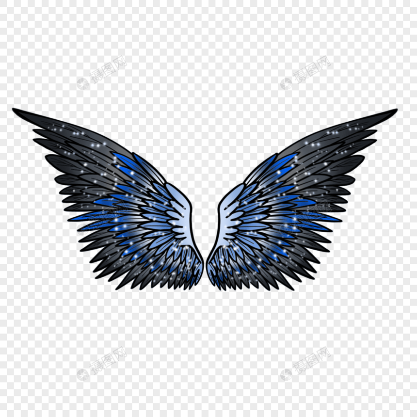灰蓝羽毛美丽翅膀图片