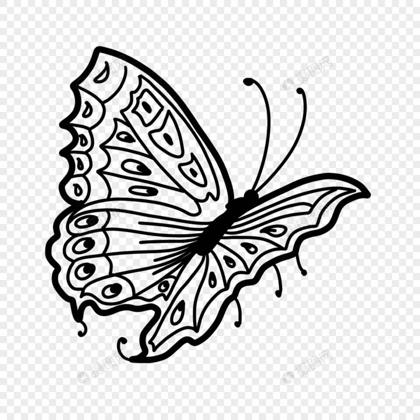 可爱花纹黑白线条蝴蝶图片